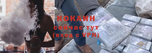 мдпв Белокуриха