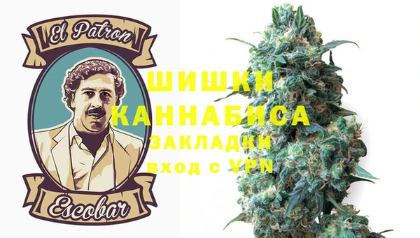 ПСИЛОЦИБИНОВЫЕ ГРИБЫ Ельня